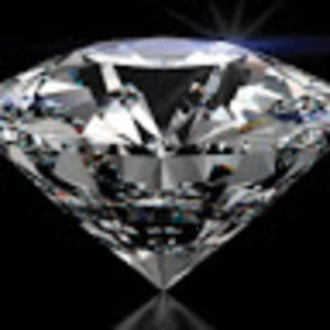 Meet your Posher, Evelyn